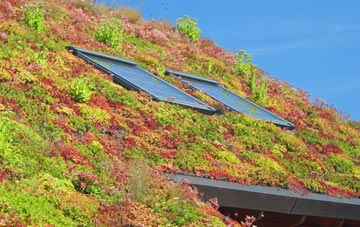 Ripon living roof systems